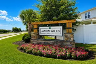 14229 Crimson Ave, Lakewood Ranch, FL 34211 - Photo 2