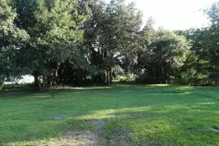 11829 71st St E, Parrish, FL 34219 - Photo 24