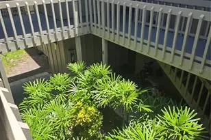 2220 Bahia Vista St, Sarasota, FL 34239 - Photo 12