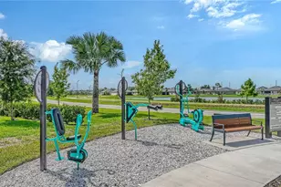 11829 Lilac Pearl Ln, Parrish, FL 34219 - Photo 40