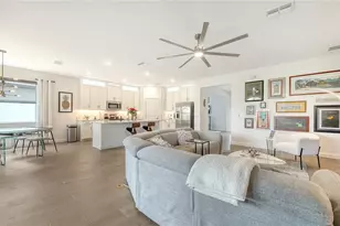 11829 Lilac Pearl Ln, Parrish, FL 34219 - Photo 8