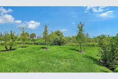 11829 Lilac Pearl Lane, Parrish, FL 34219 - Photo 22