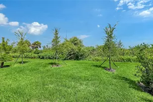 11829 Lilac Pearl Ln, Parrish, FL 34219 - Photo 22