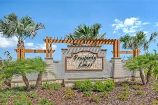 11829 Lilac Pearl Ln, Parrish, FL 34219 - Photo 2