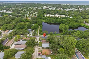 595 Pine St, Safety Harbor, FL 34695 - Photo 36