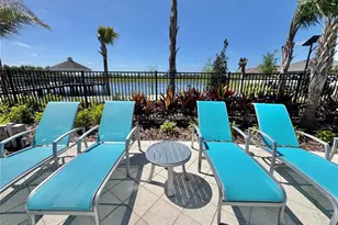 12842 Lily Quartz Loop, Parrish, FL 34219 - Photo 40
