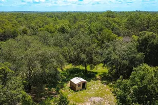 13300 SW 91st Pl, Dunnellon, FL 34432 - Photo 24