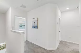 17245 Amber Aspen Wy, Land O Lakes, FL 34638 - Photo 20