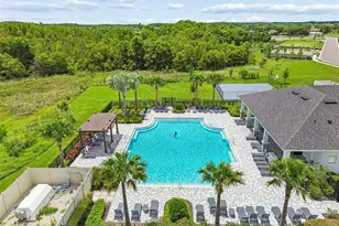 17245 Amber Aspen Wy, Land O Lakes, FL 34638 - Photo 54