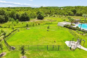 17245 Amber Aspen Wy, Land O Lakes, FL 34638 - Photo 48