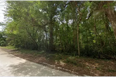 1200 NE 644th Street, Old Town, FL 32680 - Photo 2