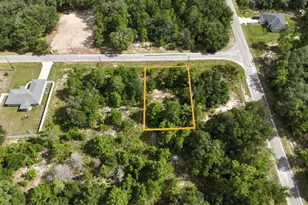 Malauka Radial, Ocklawaha, FL 32179 - Photo 1