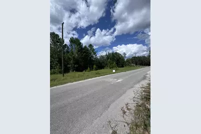 Malauka Radial, Ocklawaha, FL 32179 - Photo 4