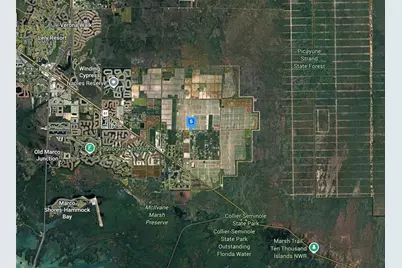 11072 Six Ls Farm Road, Naples, FL 34114 - Photo 4