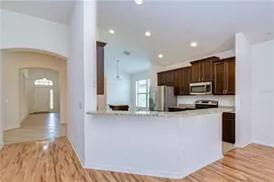 8443 White Poplar Dr, Riverview, FL 33578 - Photo 42