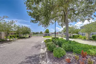 8443 White Poplar Dr, Riverview, FL 33578 - Photo 86