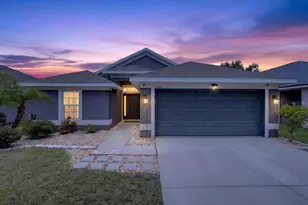 14453 Barley Field Dr, Wimauma, FL 33598 - Photo 1