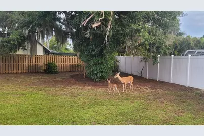 4736 Charing Cross Road, Sarasota, FL 34241 - Photo 4