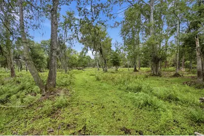 10066 Mizell Road, Myakka City, FL 34251 - Photo 52