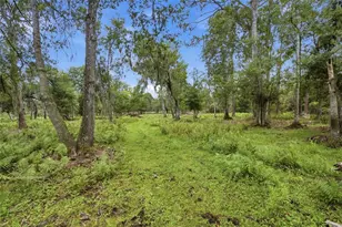 10066 Mizell Rd, Myakka City, FL 34251 - Photo 52