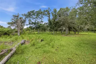 10066 Mizell Rd, Myakka City, FL 34251 - Photo 60