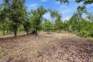 10066 Mizell Rd, Myakka City, FL 34251 - Photo 54