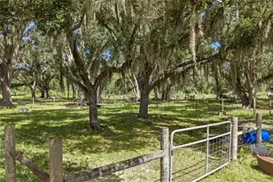 10066 Mizell Rd, Myakka City, FL 34251 - Photo 74