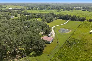 10066 Mizell Rd, Myakka City, FL 34251 - Photo 64
