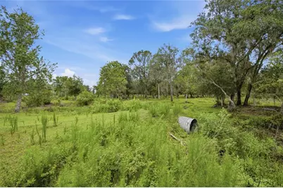 10066 Mizell Road, Myakka City, FL 34251 - Photo 56