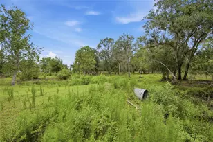 10066 Mizell Rd, Myakka City, FL 34251 - Photo 56