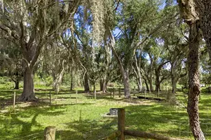 10066 Mizell Rd, Myakka City, FL 34251 - Photo 68