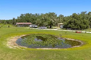 10066 Mizell Rd, Myakka City, FL 34251 - Photo 6
