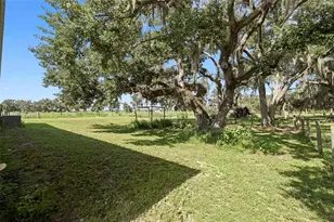 10066 Mizell Rd, Myakka City, FL 34251 - Photo 50