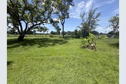 9818 Reylinda Avenue, Thonotosassa, FL 33592 - Photo 6