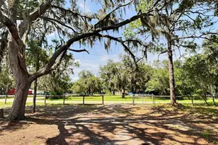 13354 Tyrone St, Hudson, FL 34667 - Photo 4