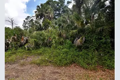 Crandon Road, North Port, FL 34286 - Photo 2