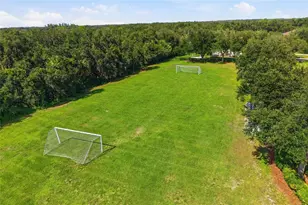15449 Mulholland Rd, Parrish, FL 34219 - Photo 44