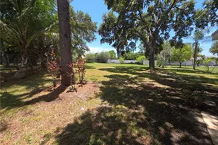 63 Oakwood Dr, Dunedin, FL 34698 - Photo 4