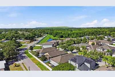 4738 Woods Landing Lane, Tampa, FL 33619 - Photo 12