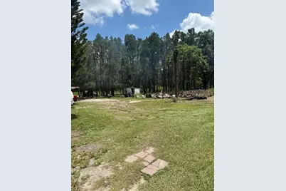 4543 Cobb Road, Land O Lakes, FL 34638 - Photo 6
