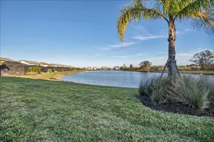 17703 Savory Mist Cir, Lakewood Ranch, FL 34211 - Photo 58
