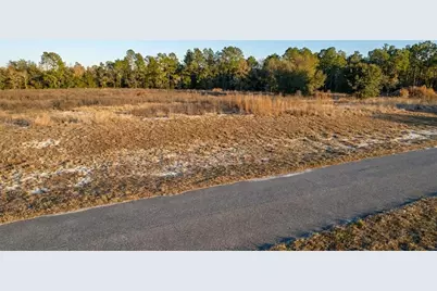 Se 136th Terrace, Morriston, FL 32668 - Photo 12