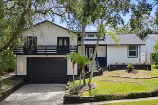 17 Pinewood Cir, Safety Harbor, FL 34695 - Photo 66