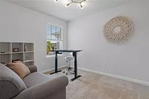 31449 Woodland Race Loop, Wesley Chapel, FL 33545 - Photo 26