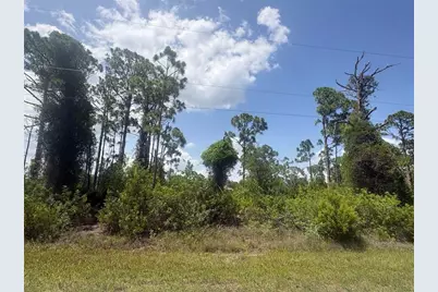 14200 Naylor Avenue, Port Charlotte, FL 33981 - Photo 1