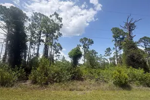 14200 Naylor Ave, Port Charlotte, FL 33981 - Photo 1