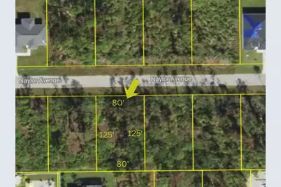 14201 Naylor Avenue, Port Charlotte, FL 33981 - Photo 4