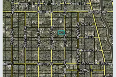 10055 Turpin Avenue, Hastings, FL 32145 - Photo 6