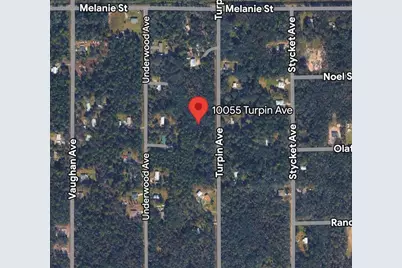 10055 Turpin Avenue, Hastings, FL 32145 - Photo 1