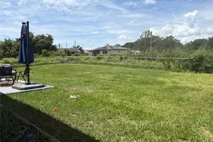 113 White Ave NE, Lake Placid, FL 33852 - Photo 24